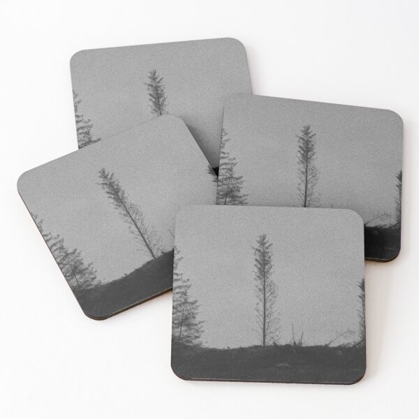 Item preview, trees in the Kilpatrick Hills, Glasgow (Scotland) (January 2026) designed and sold by photosbykel.