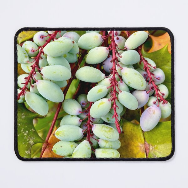 Item preview, Pastel Grape Holly designed and sold by AJFurey.