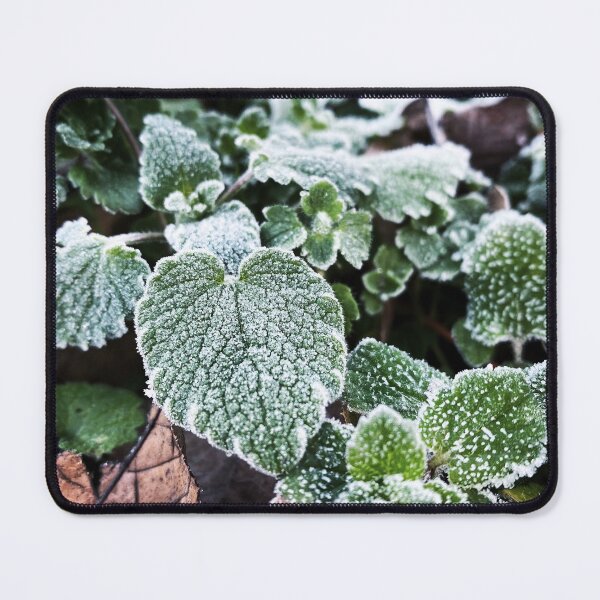 Item preview, Frosty Leaves designed and sold by AJFurey.
