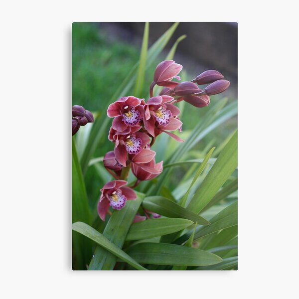 Happy Metal Print
