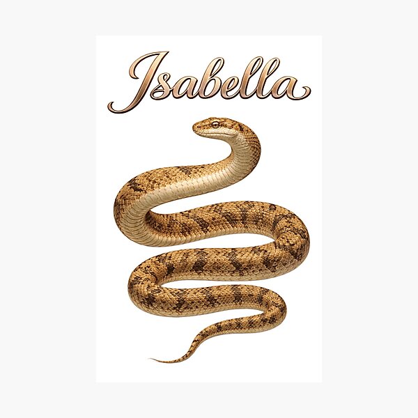 Item preview, Isabella Snake Zodiac — Wisdom, Intuition and Elegance of the Chinese Snake designed and sold by AlexLineArt.