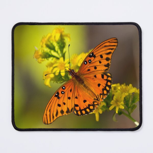 Item preview, Gulf Fritillary Agraulis vanillae Passion Butterfly on Goldenrod designed and sold by Lee Hiller Designs.