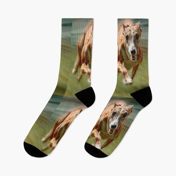 Item preview, A fast-moving Whippet racing on a grassy track, Dogs in Motion designed and sold by CDC40.