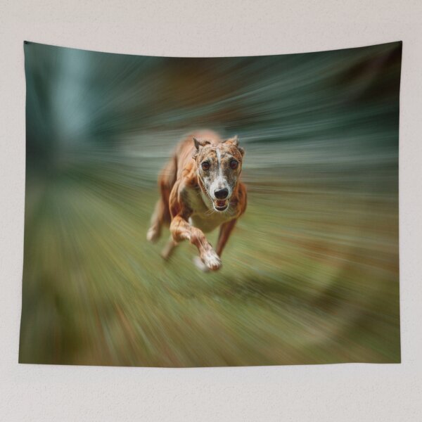 Item preview, A fast-moving Whippet racing on a grassy track, Dogs in Motion designed and sold by CDC40.