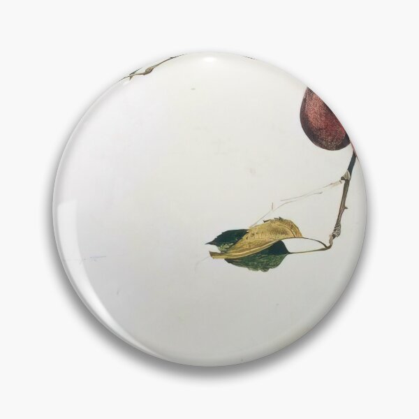 Item preview, APPLES ON A BOUGH STUDY BEFORE PICKING By Andrew Wyeth designed and sold by erinkavanagh.