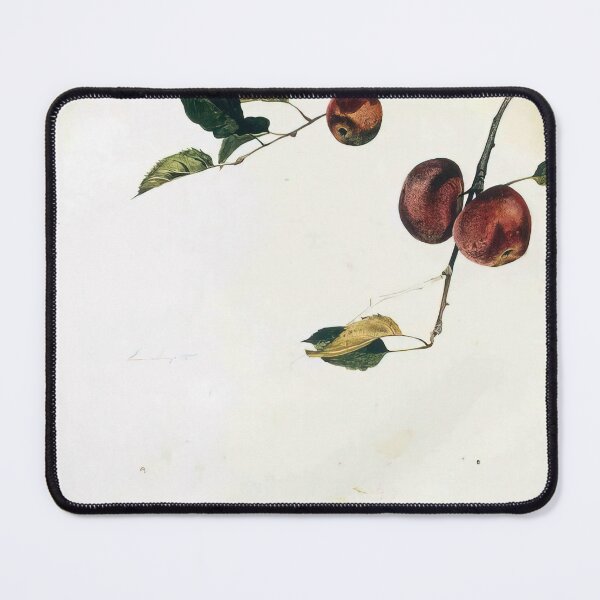Item preview, APPLES ON A BOUGH STUDY BEFORE PICKING By Andrew Wyeth designed and sold by erinkavanagh.