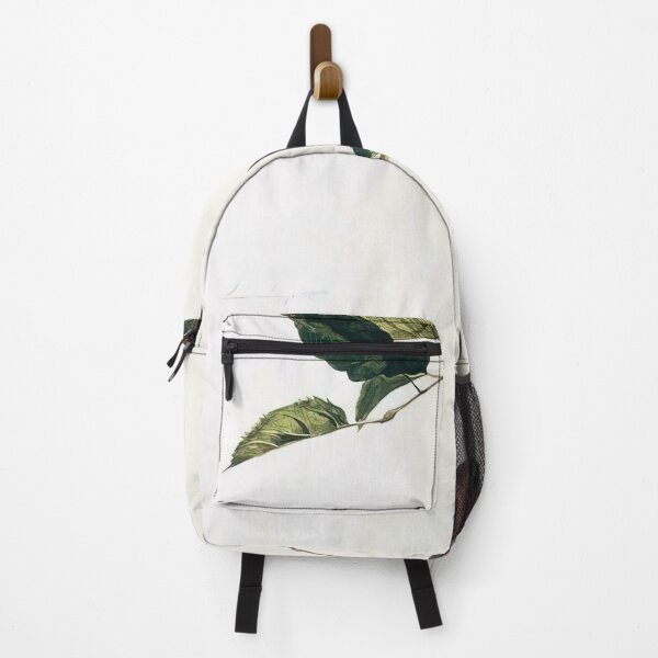 Item preview, APPLES ON A BOUGH STUDY BEFORE PICKING By Andrew Wyeth designed and sold by erinkavanagh.