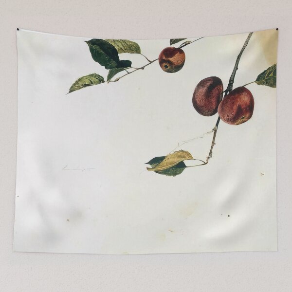 Item preview, APPLES ON A BOUGH STUDY BEFORE PICKING By Andrew Wyeth designed and sold by erinkavanagh.
