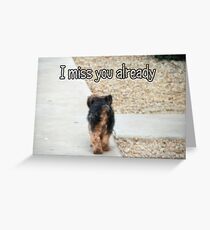 I Miss You Already Greeting Card