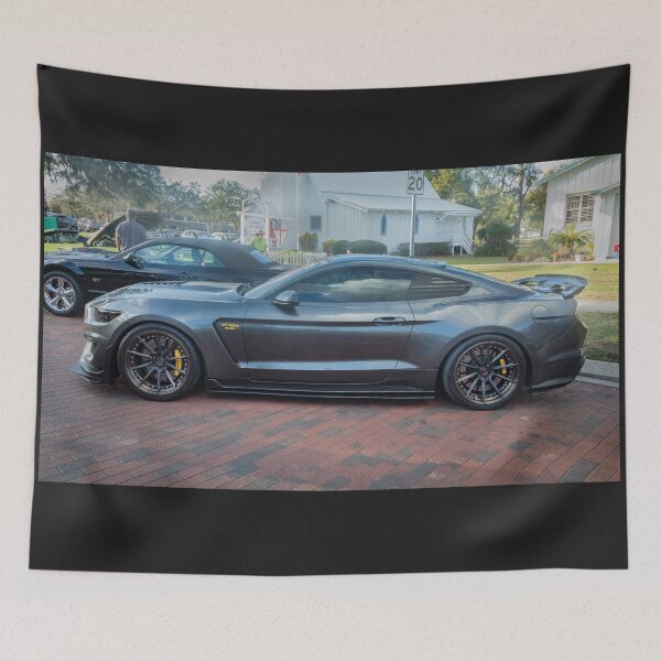 Item preview,  2016 Gray Ford Shelby Mustang GT350 X163 designed and sold by RichFrancoCars.
