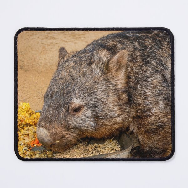 Item preview, A balanced diet designed and sold by missmoneypenny.
