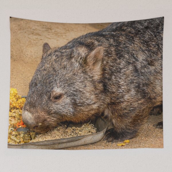 Item preview, A balanced diet designed and sold by missmoneypenny.