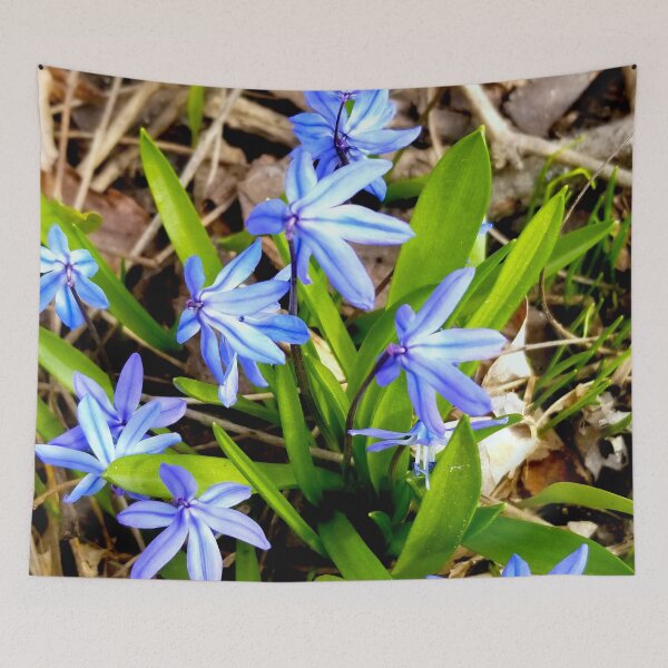Item preview, Siberian Squill designed and sold by bjtomiko.