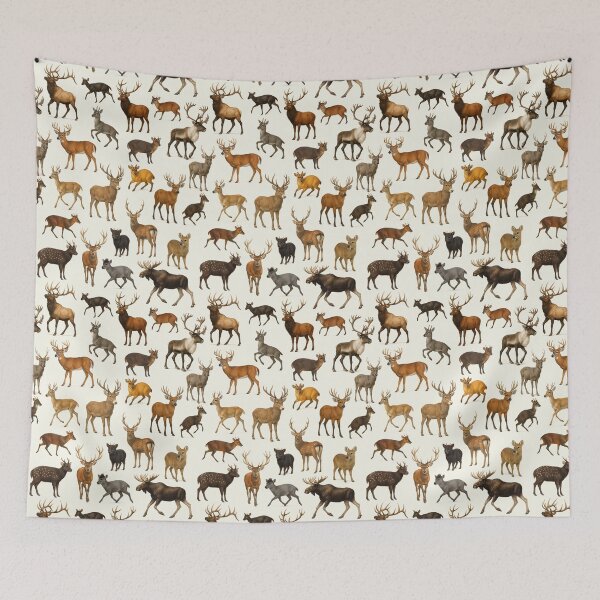 Item preview, Animals of Cervidae Wildlife Deer Retro Identification Chart designed and sold by kakarikihill.