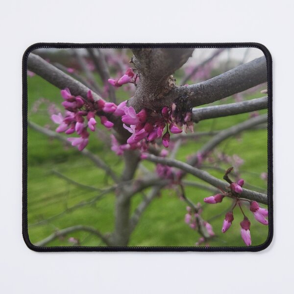 Item preview, Red Bud 2 designed and sold by Abeink1030.