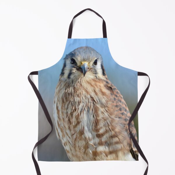 Item preview, American Kestrel Standing Proud designed and sold by richardbryce.