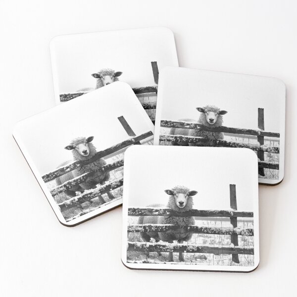 Item preview, Sheep in Snow – Black and White Winter Farm Animal Photography designed and sold by inkoutninja.