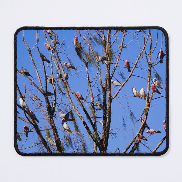Item preview, OUTBACK BIRD TREE designed and sold by Annalucia.