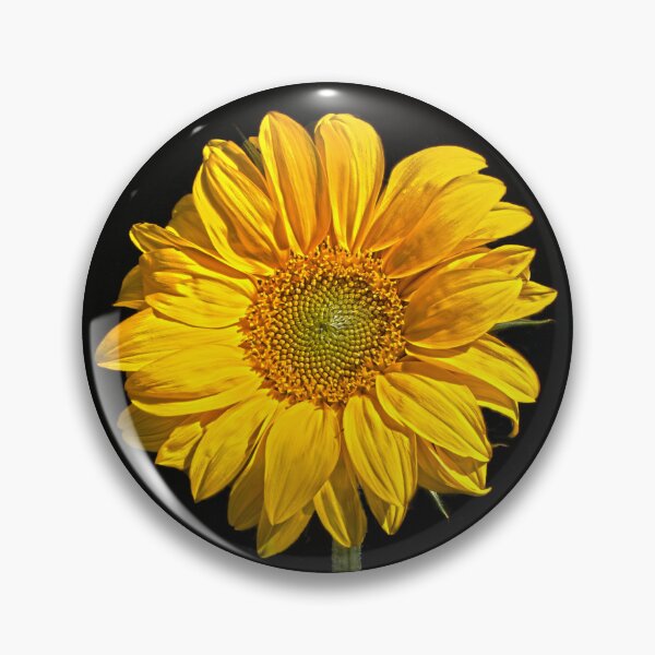 Item preview, Sunflower designed and sold by Alan Harman.