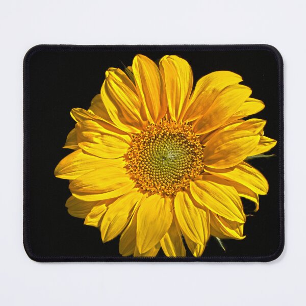 Item preview, Sunflower designed and sold by Alan Harman.