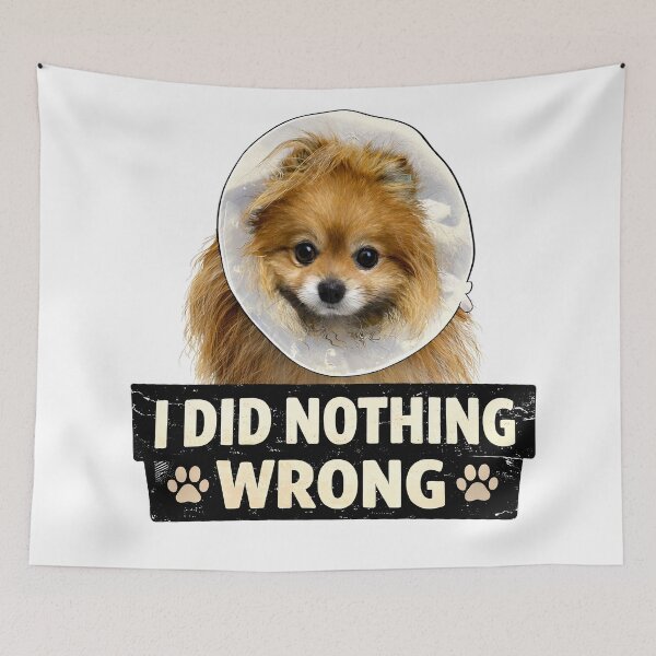 Item preview, I Did Nothing Wrong designed and sold by StrayaDesign.