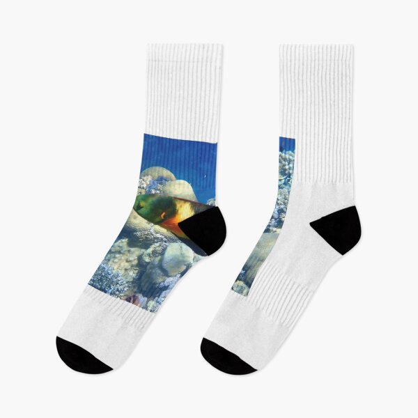 Item preview, Colorful underwater world designed and sold by chriss73s.