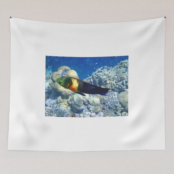 Item preview, Colorful underwater world designed and sold by chriss73s.