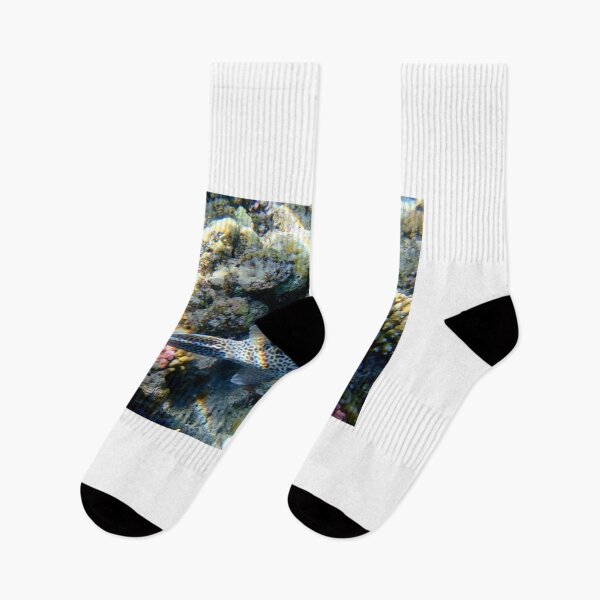 Item preview, Colorful underwater world designed and sold by chriss73s.