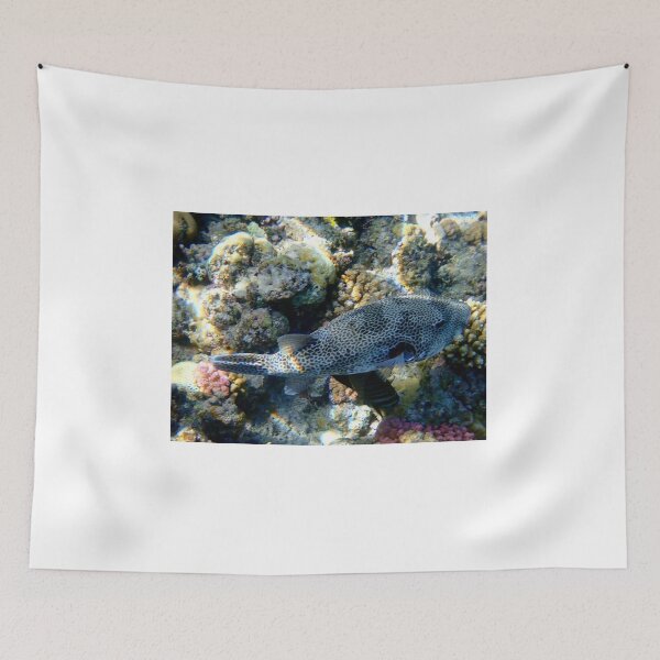 Item preview, Colorful underwater world designed and sold by chriss73s.