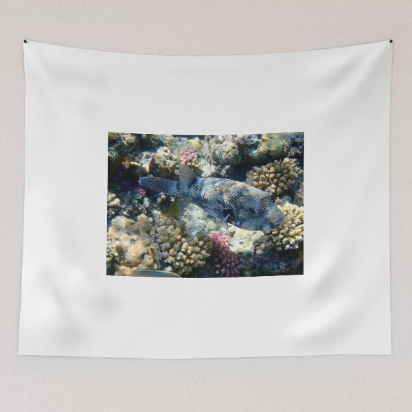 Item preview, Colorful underwater world designed and sold by chriss73s.
