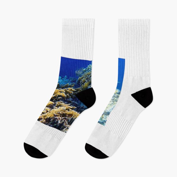 Item preview, Colorful underwater world designed and sold by chriss73s.