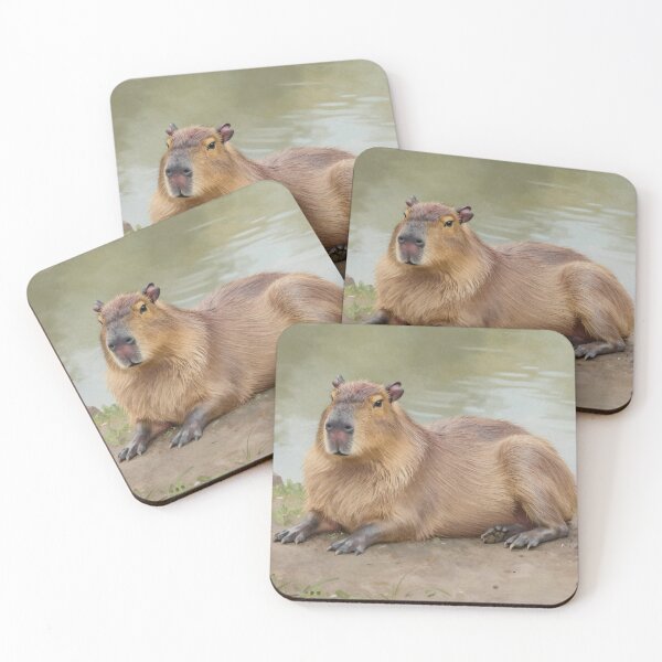 Item preview, Chill Cappybara designed and sold by LilithsDesires.