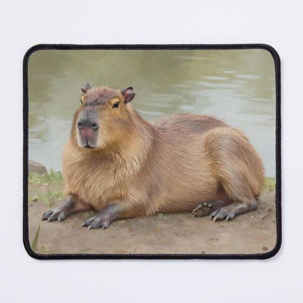 Item preview, Chill Cappybara designed and sold by LilithsDesires.