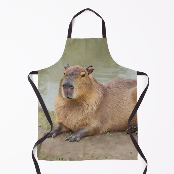 Item preview, Chill Cappybara designed and sold by LilithsDesires.