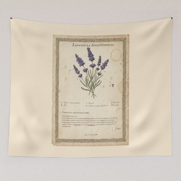 Item preview, Vintage Lavandula Angustifolia Botanical Print designed and sold by Jeeklsdotcom.