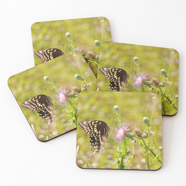 Item preview, Butterfly Paused on Wild Thistle Bloom designed and sold by Mandy-Sue.