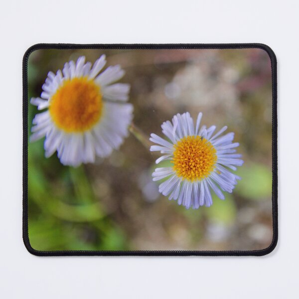 Item preview, Twin Wildflowers in Soft Light designed and sold by Mandy-Sue.