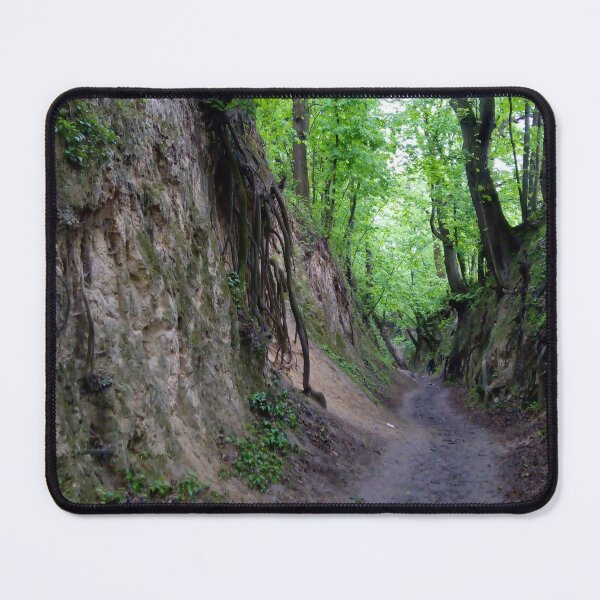 Item preview, Forest Ravine – Path Among Roots designed and sold by Alekska-Art.