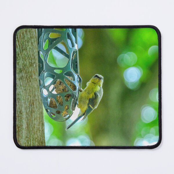 Item preview, Great tit (Parus major) eating  designed and sold by Photopat.