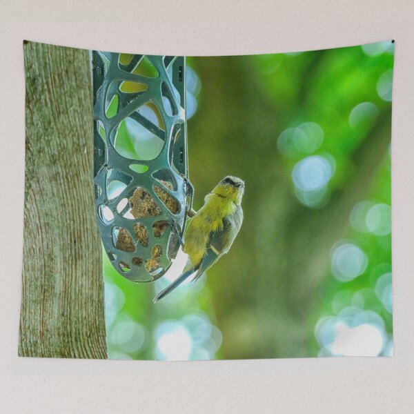 Item preview, Great tit (Parus major) eating  designed and sold by Photopat.
