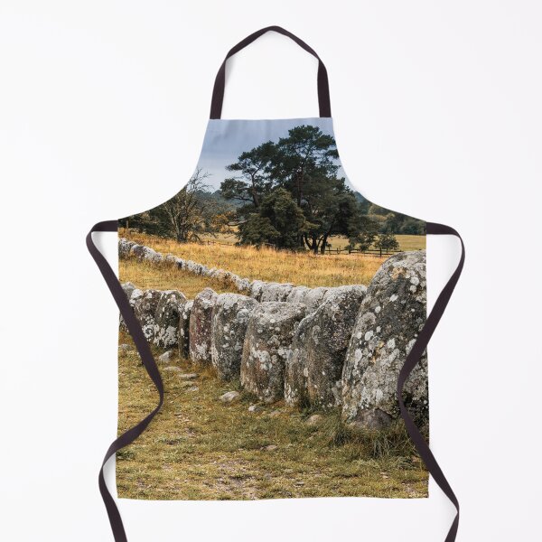 Item preview, The Gannarve Stone Ship designed and sold by DiFigianoPhoto.
