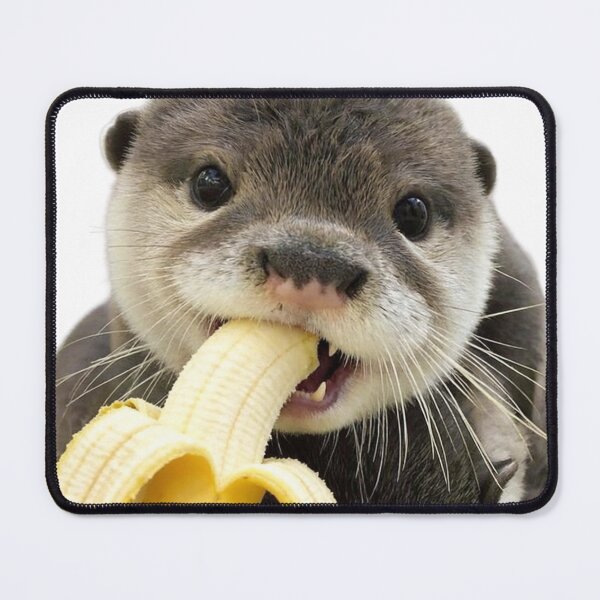 Item preview, Capybara eats fruit designed and sold by RiverFong.
