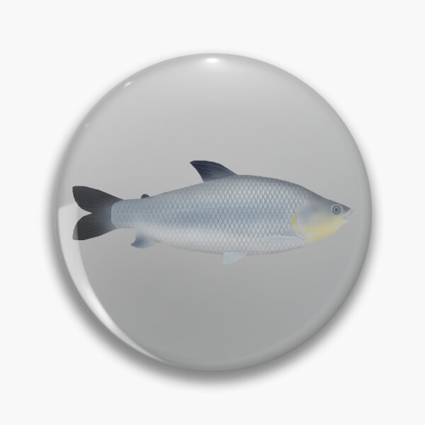 Item preview, Piauçu designed and sold by fishfolkart.