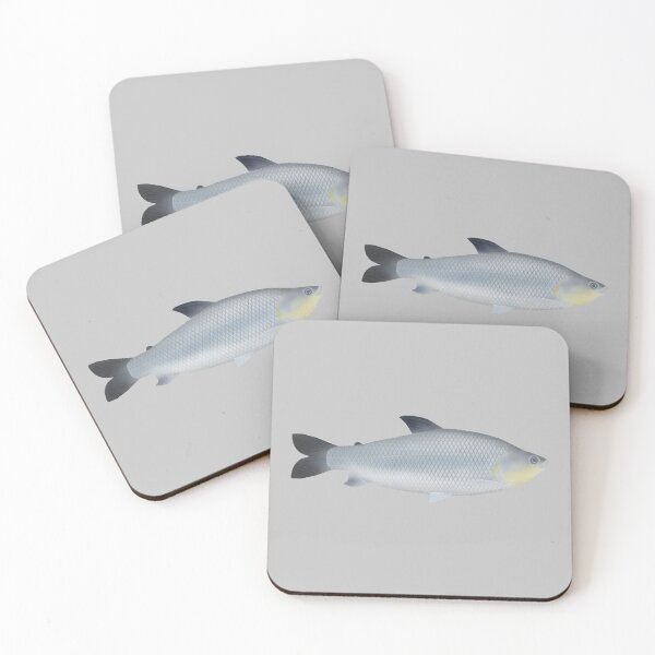 Item preview, Piauçu designed and sold by fishfolkart.