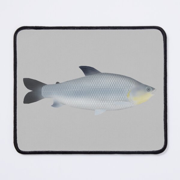 Item preview, Piauçu designed and sold by fishfolkart.