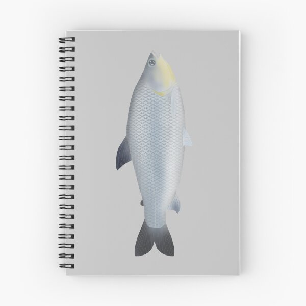Item preview, Piauçu designed and sold by fishfolkart.