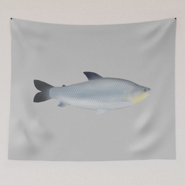 Item preview, Piauçu designed and sold by fishfolkart.