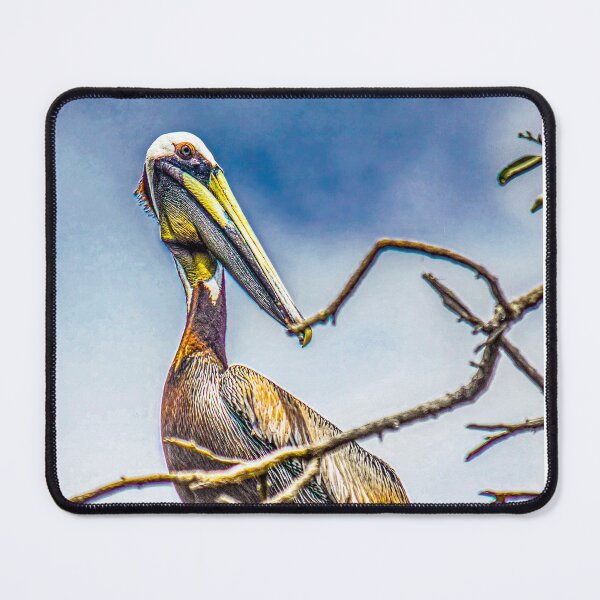 Item preview, Pelican guarding its nest designed and sold by HenrryRamirez.