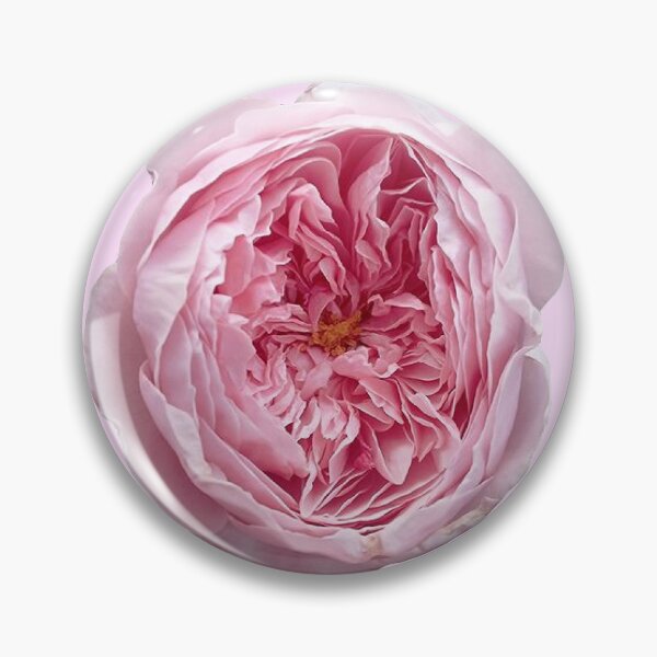 Item preview, pink Rose flower sticker designed and sold by inainart.