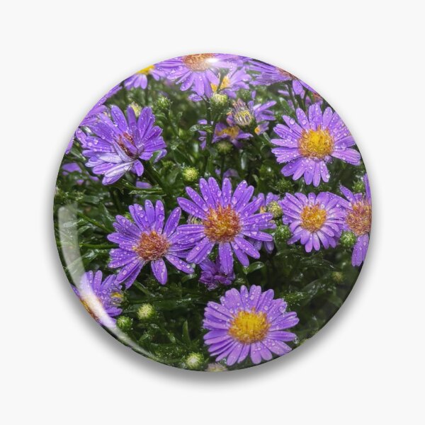 Item preview, Aster: color and hope designed and sold by WAV-Wear-A-Vibe.